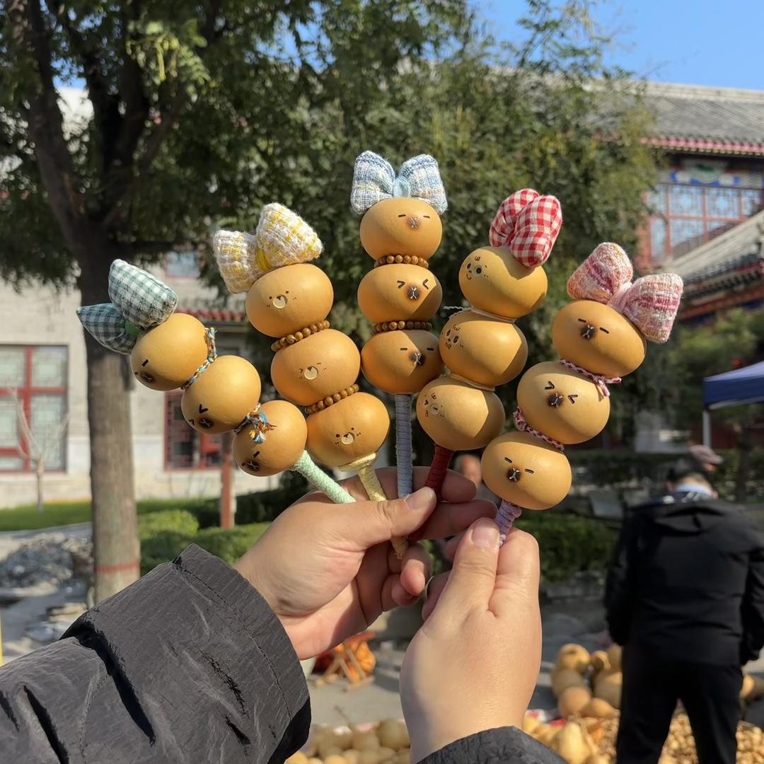 赵葫芦画瓢哇