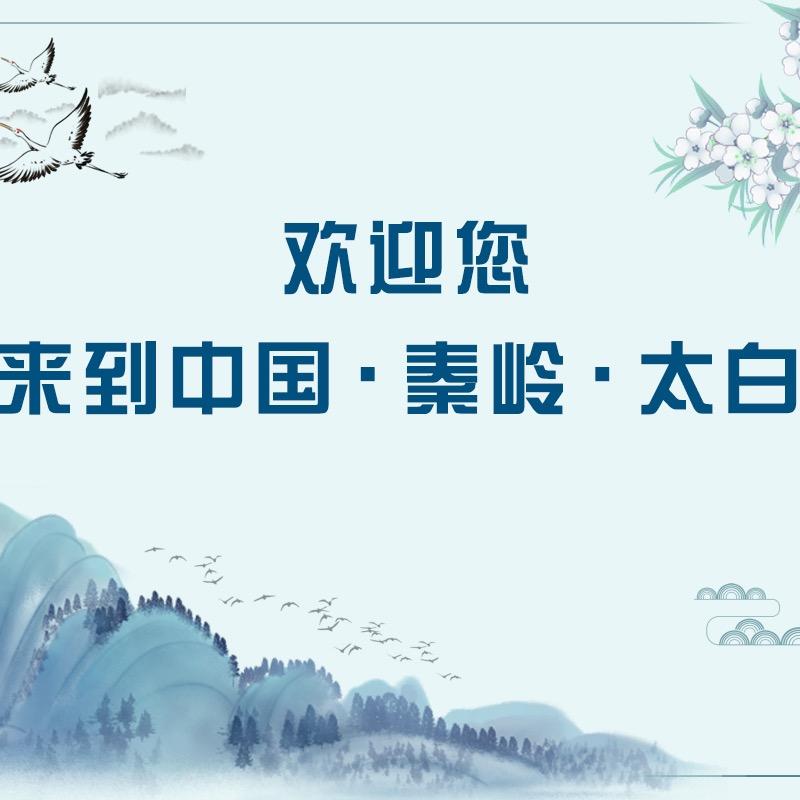太白县天绿合作社