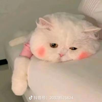 顾慕晴晴~