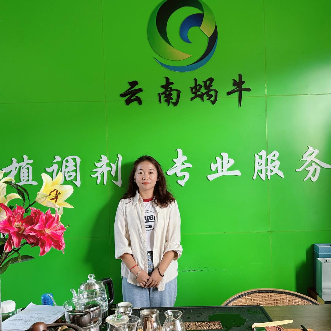 云南蜗牛 茶妹儿