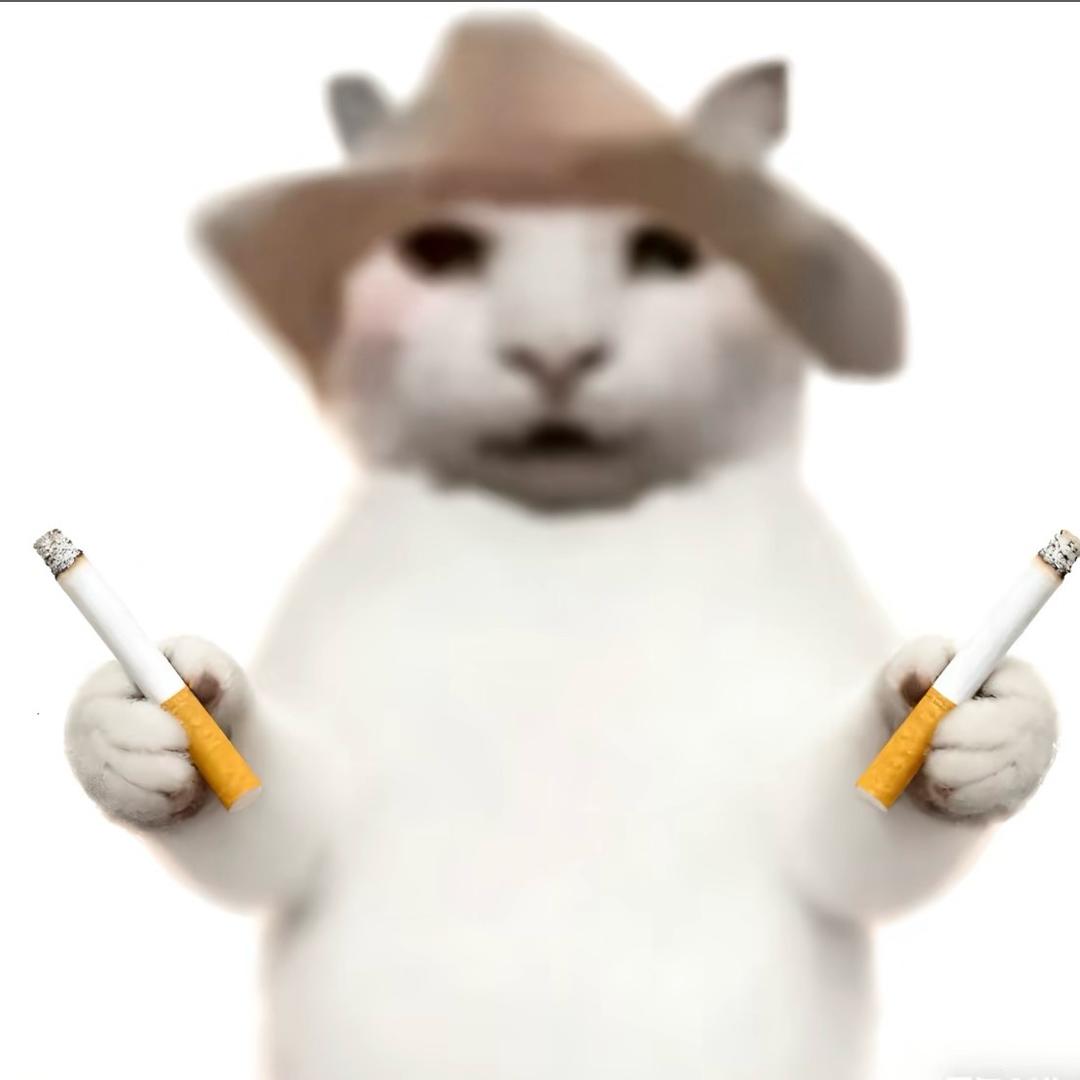 柒叁伍伍陆零捌