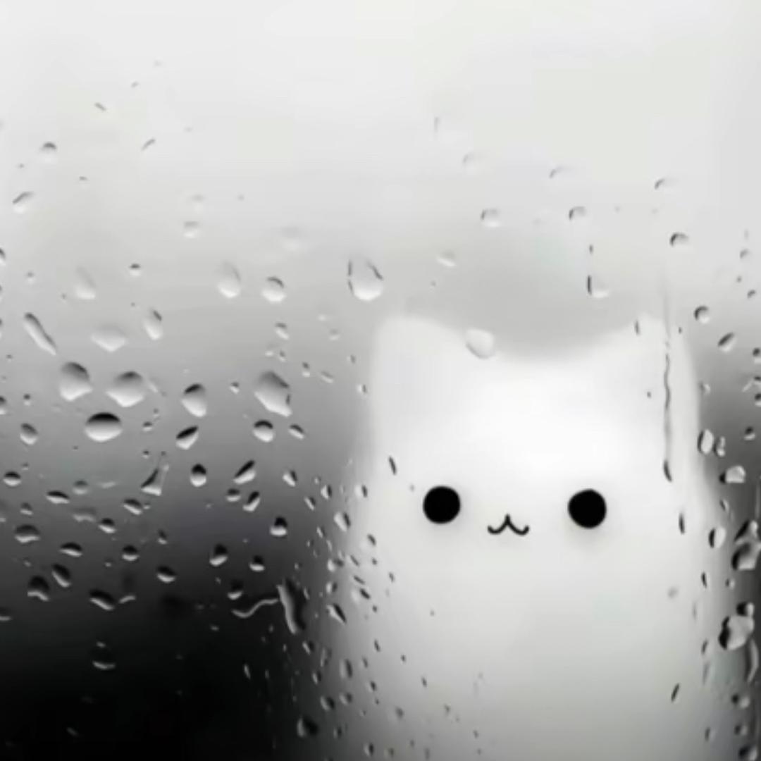 文