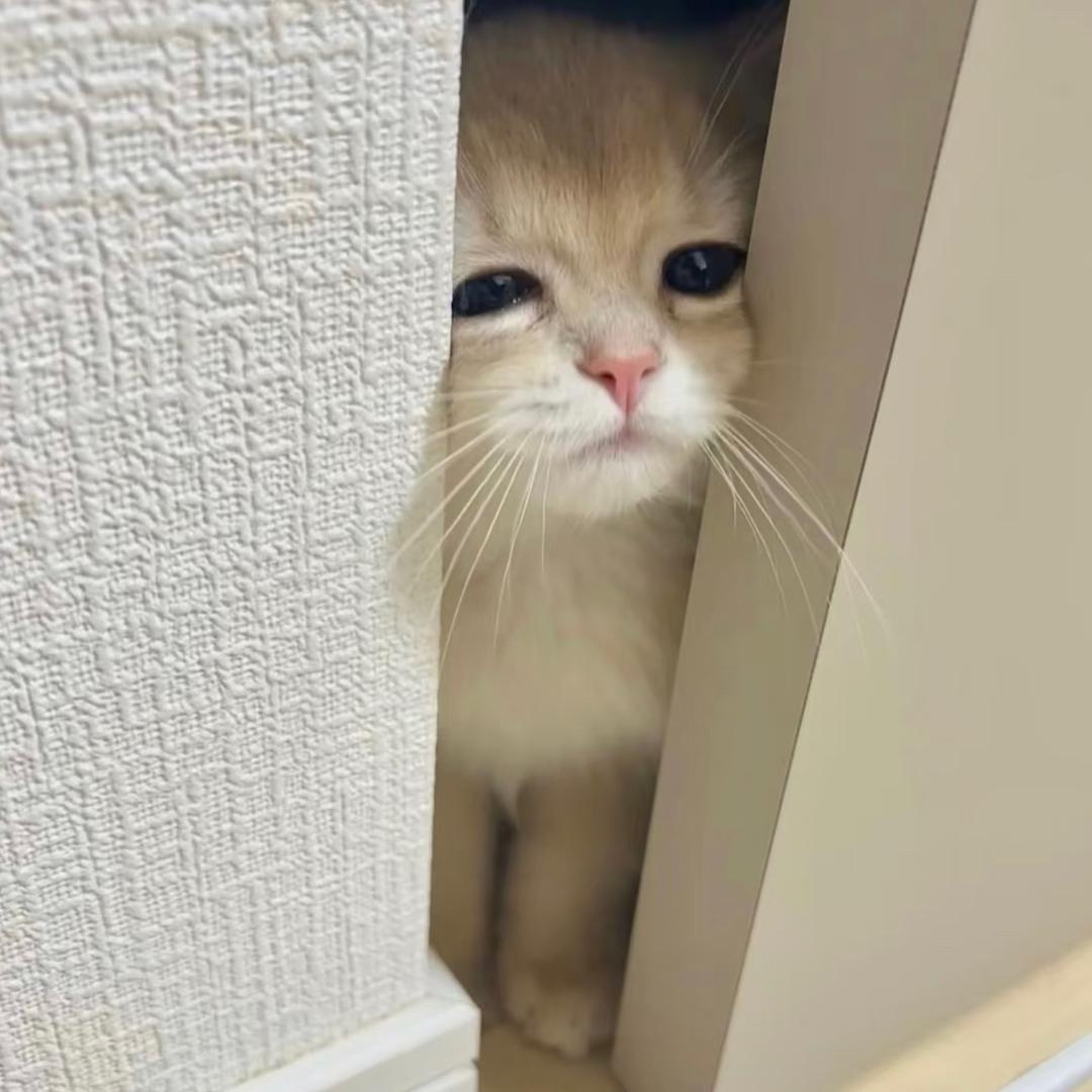 ooo.