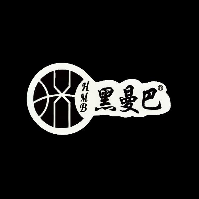 贵州黑曼巴智能车库门厂家