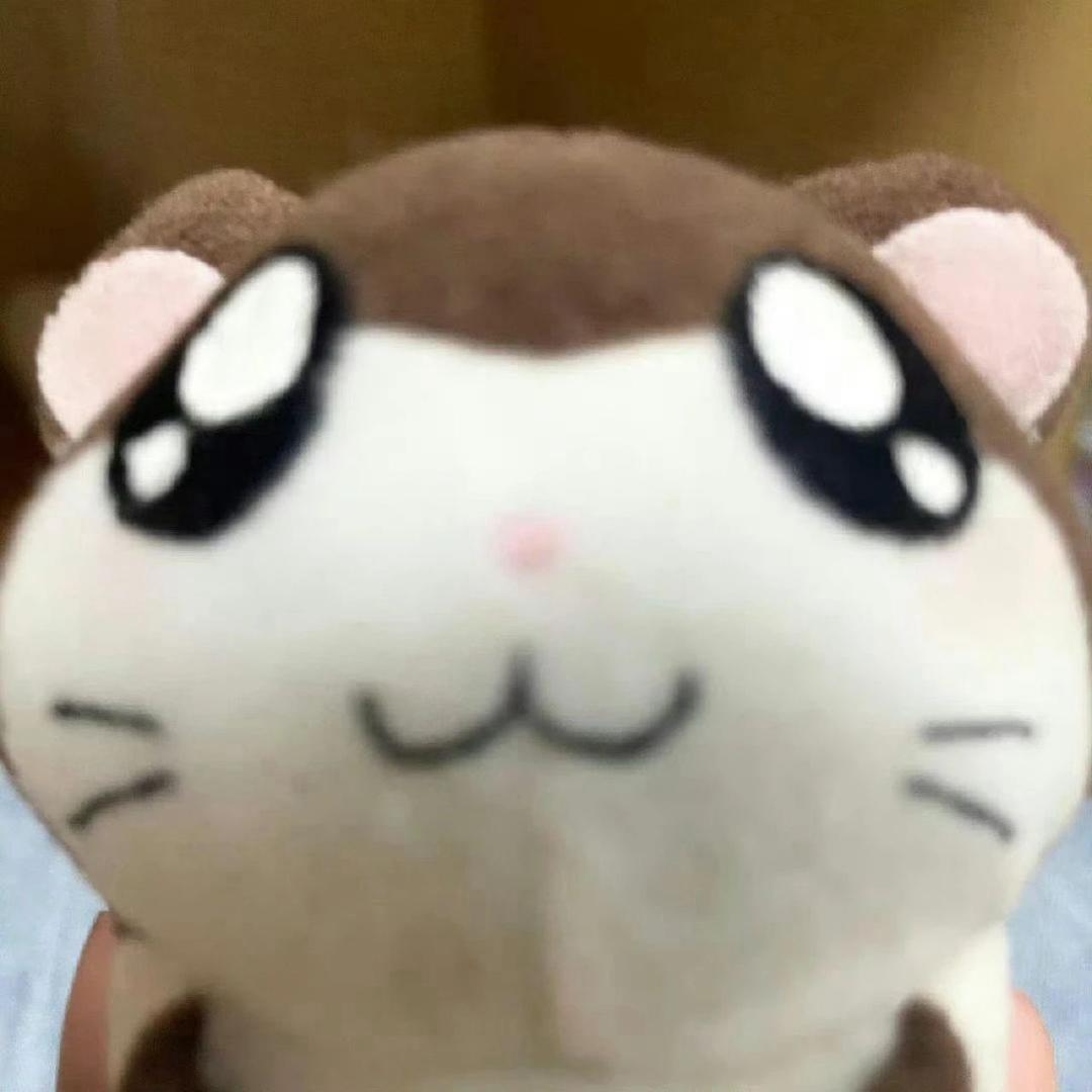 鱼蛋^OvO^