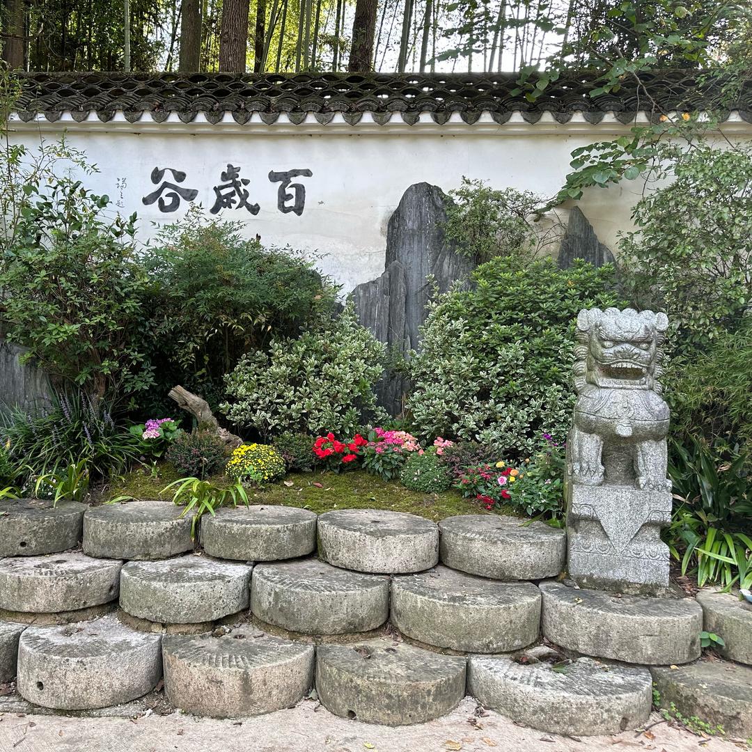 广德-百岁谷的日常🏡