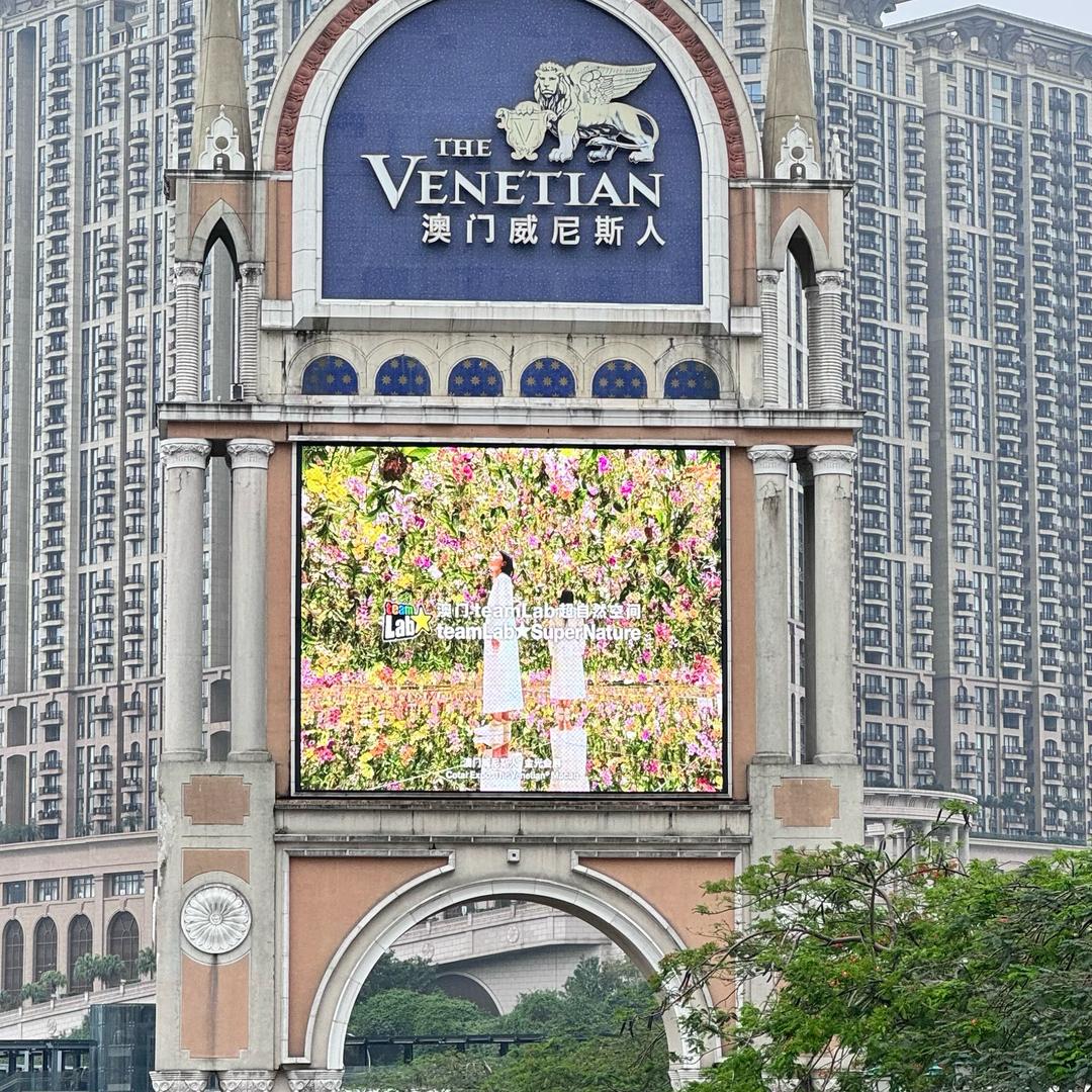 小柒