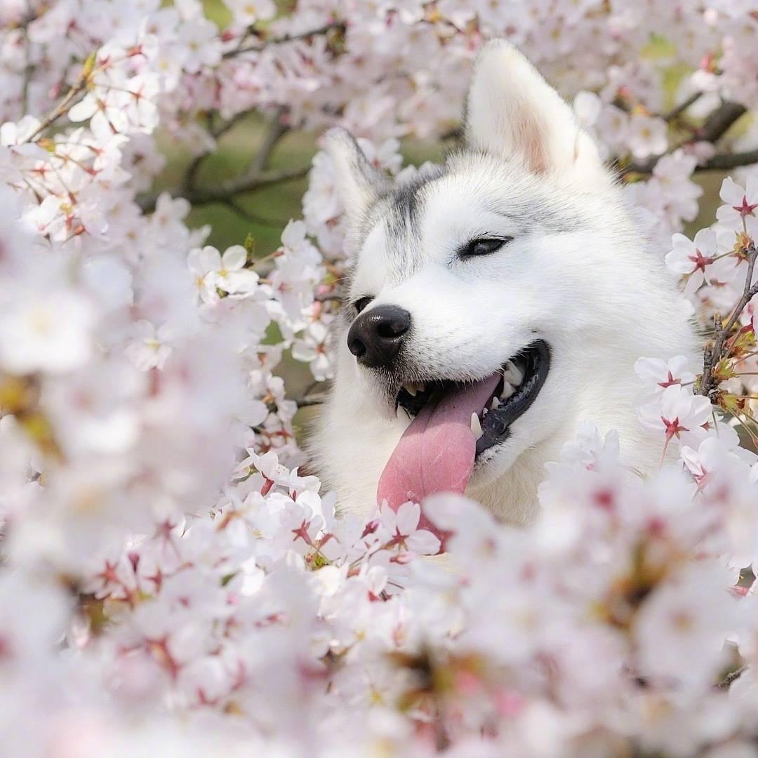 大大肉丸子💅🏻