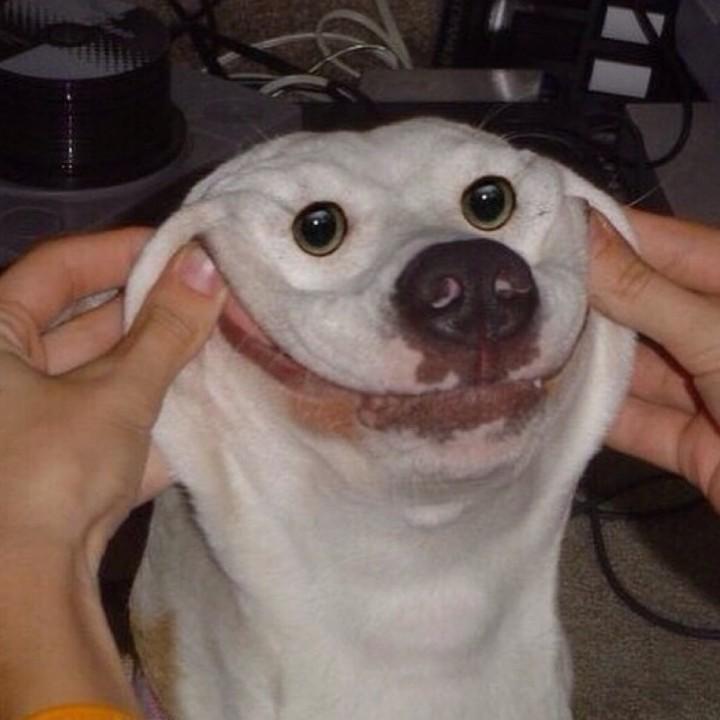 不扣胯下不改名（肌肥大版）