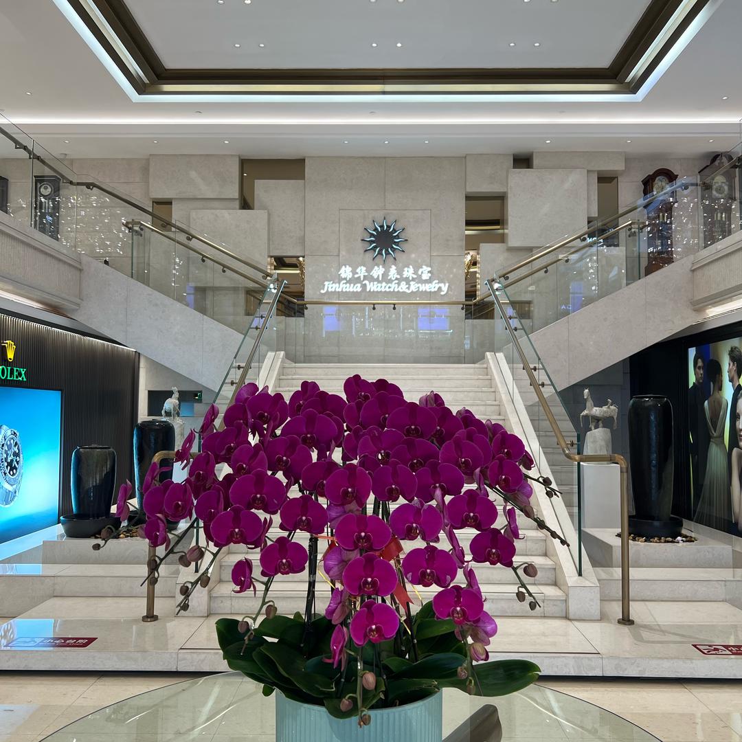 大连锦华钟表洲际SA-晨旭