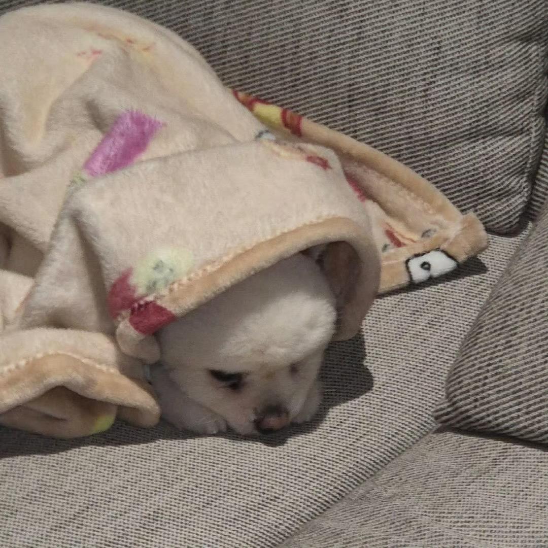 早睡早起身体棒