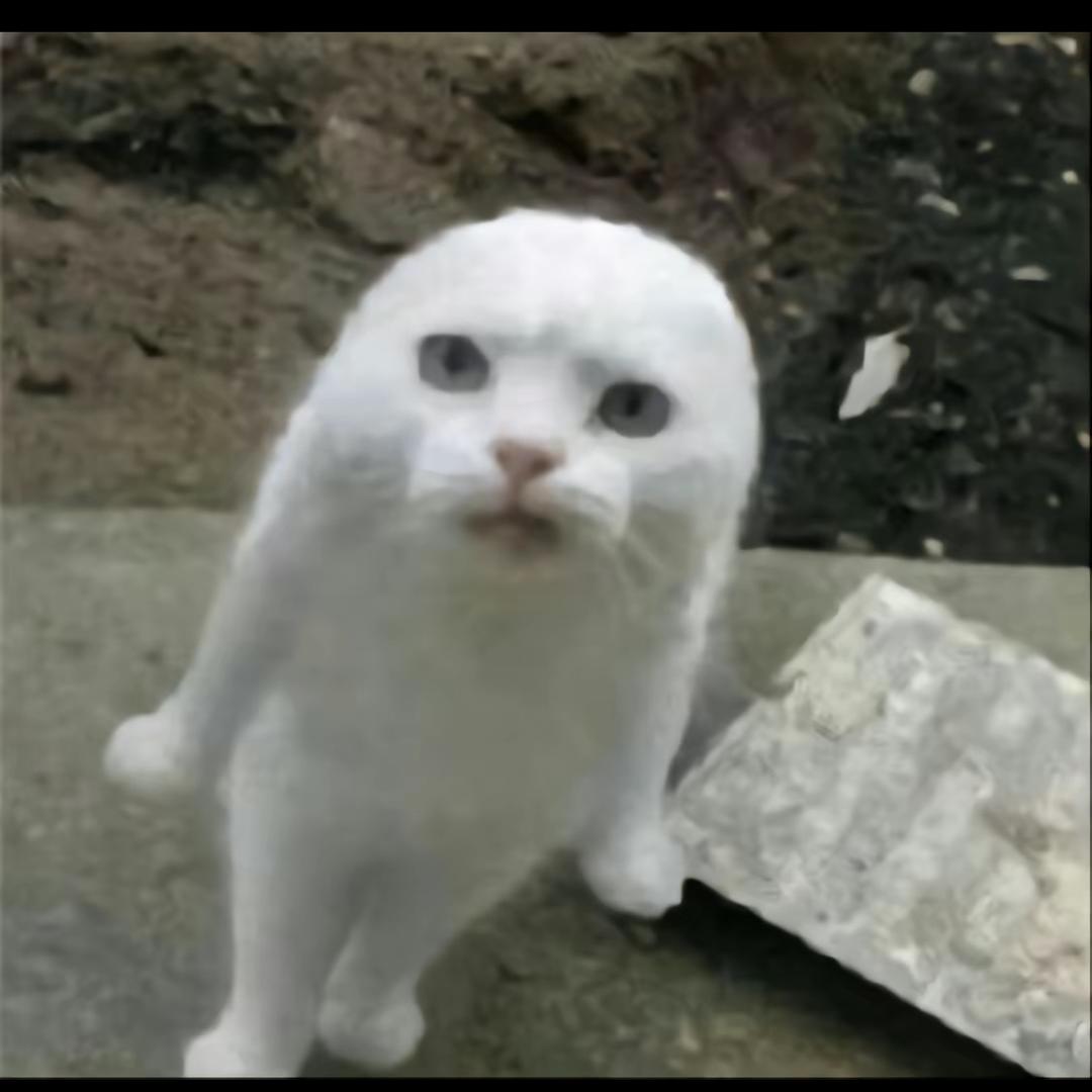 大海