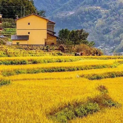 休闲运动跑步鞋