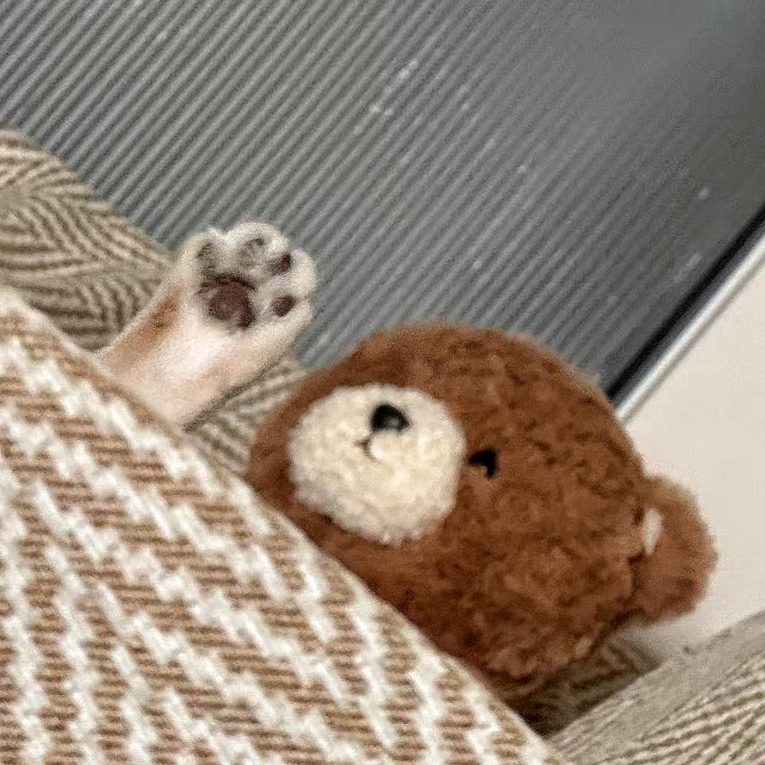 恎晌头像