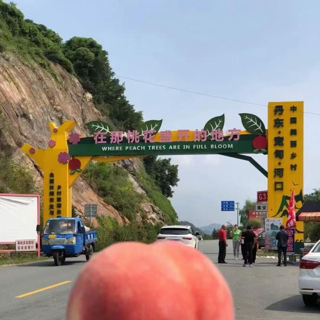 双果记
