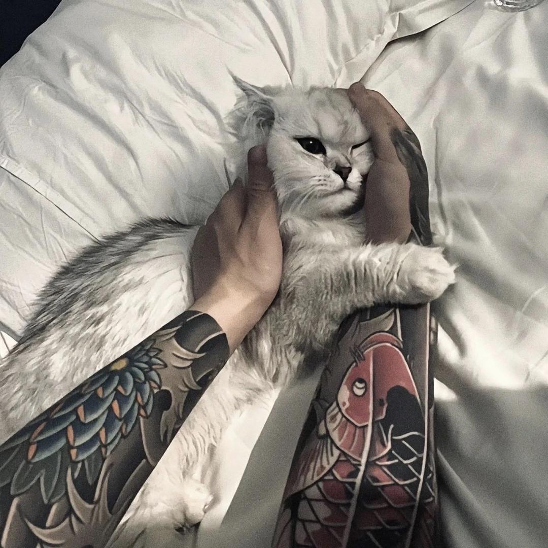 不知名的混蛋