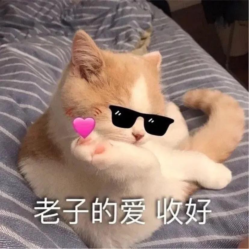 问春风自制