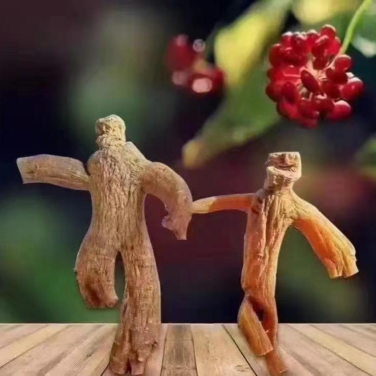 林下参
