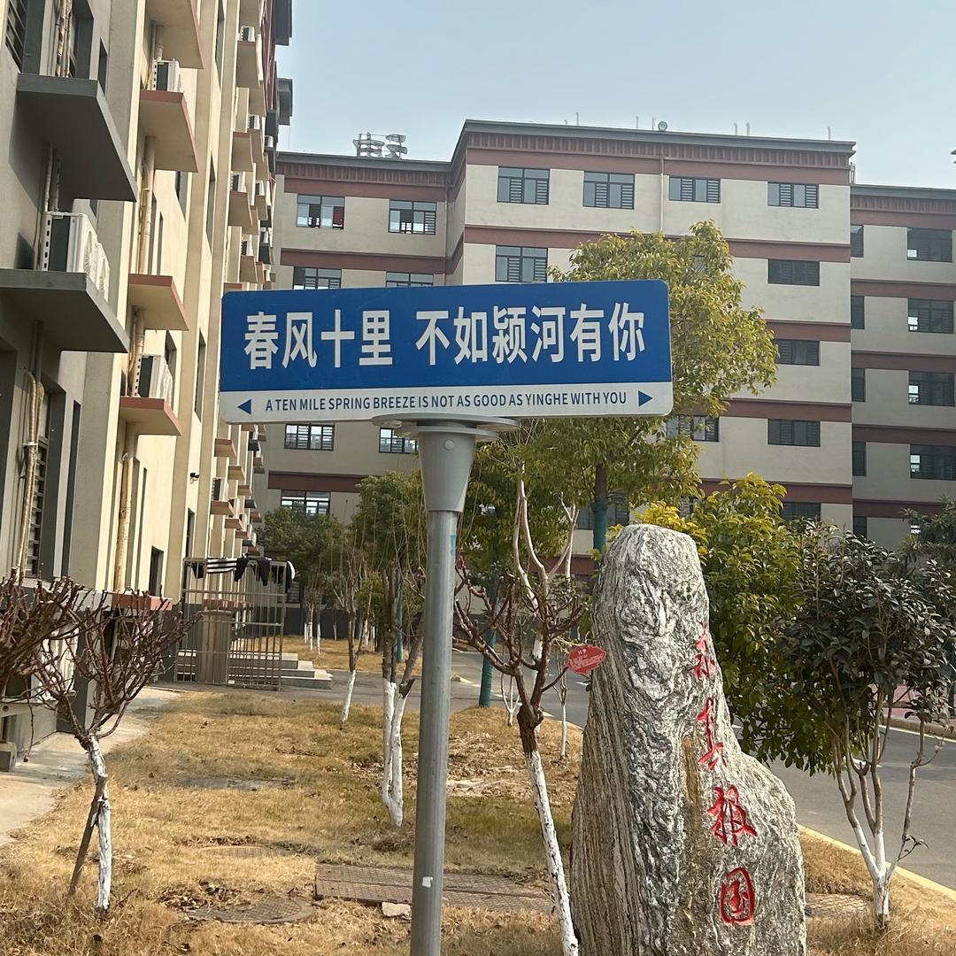 龙翔职教李老师