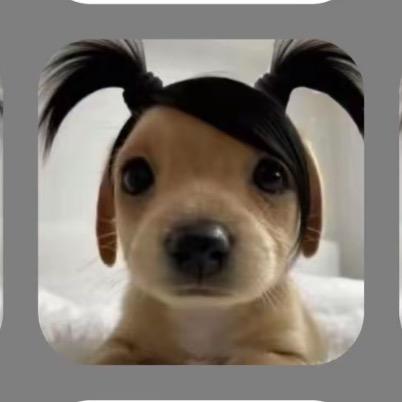 理理ni
