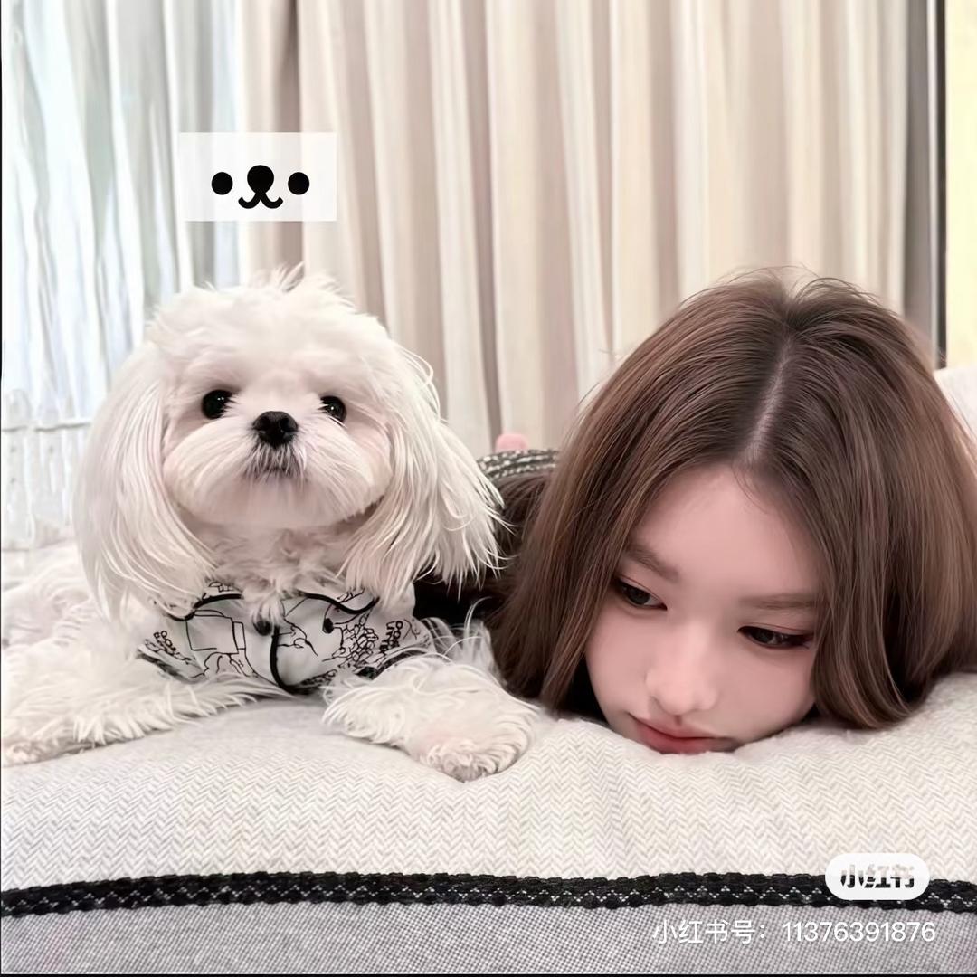金乌