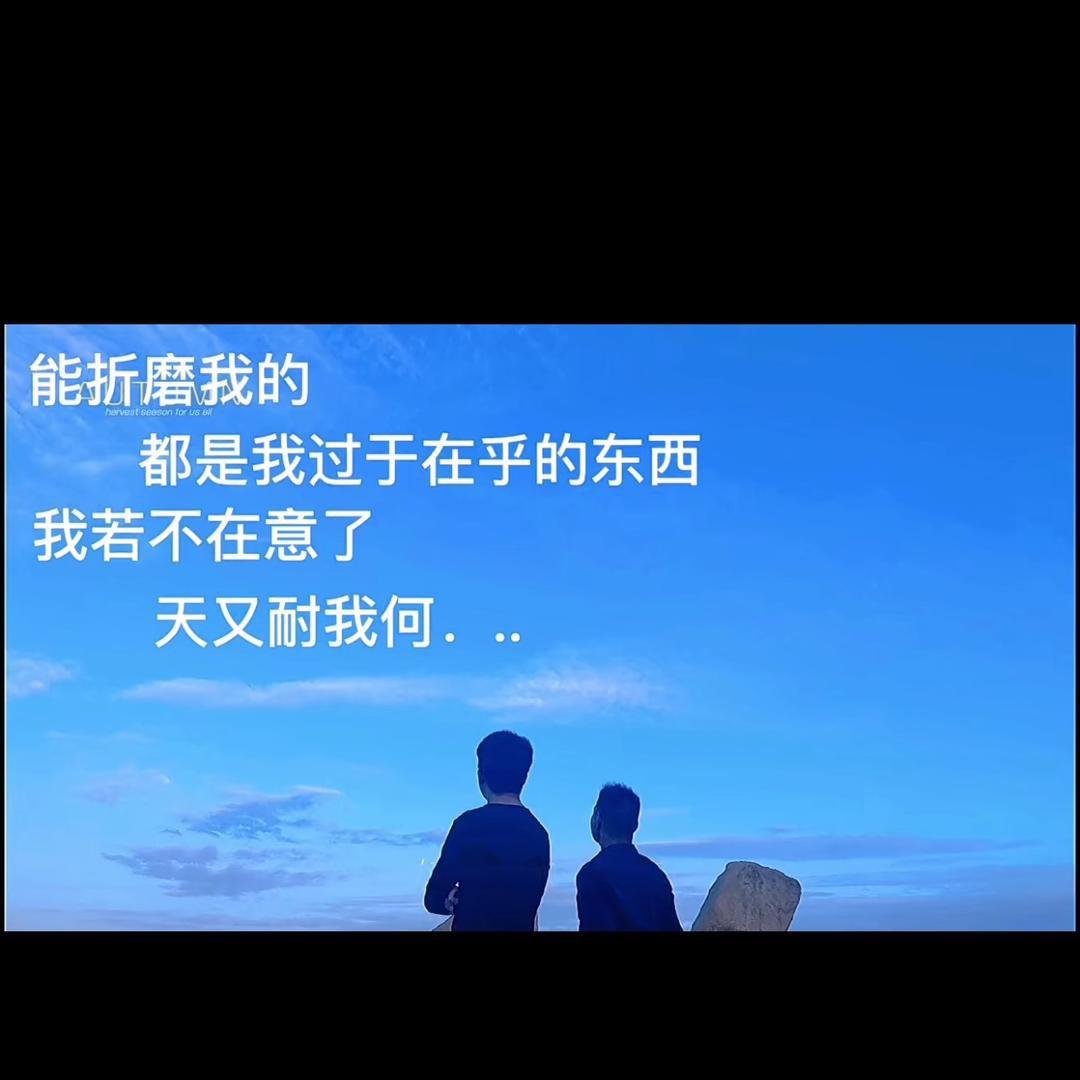 鸿升赛鸽