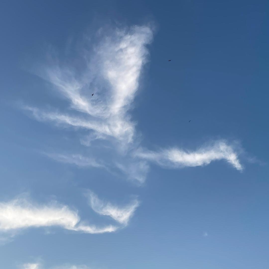 🌈豫地哥哥🌈