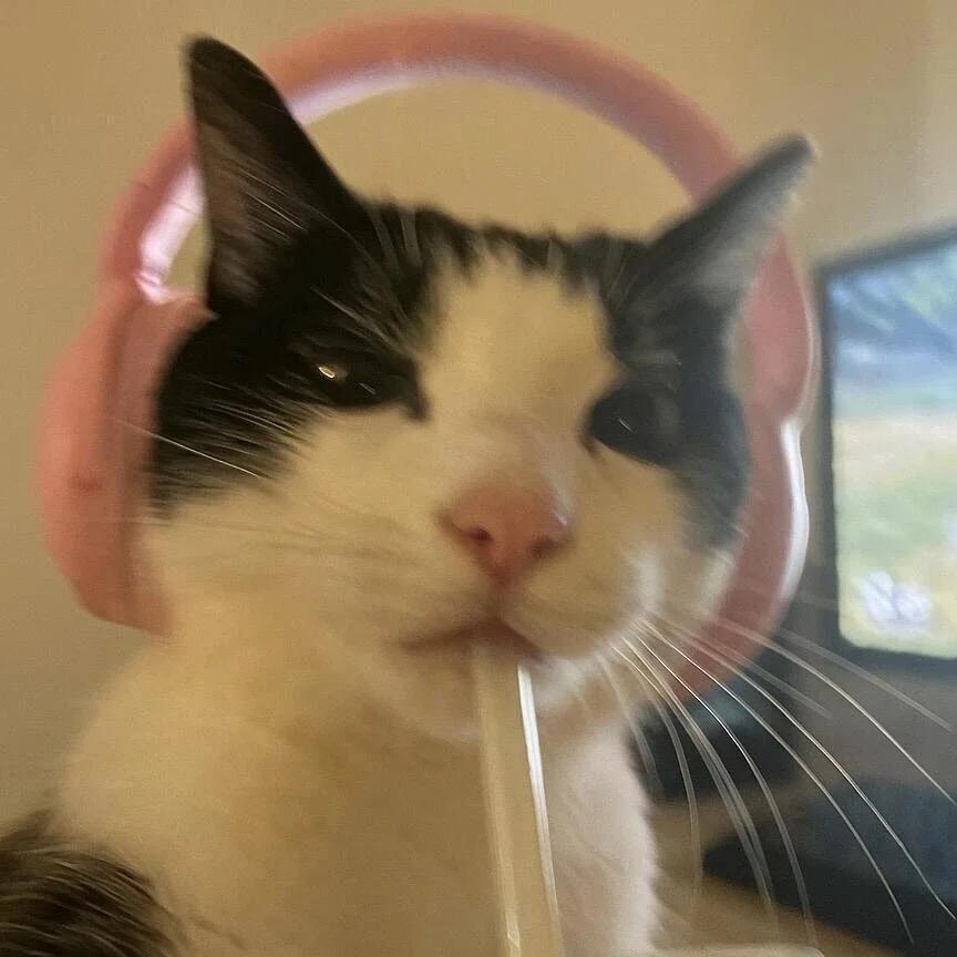 景橙丶🍊(三角洲行动）