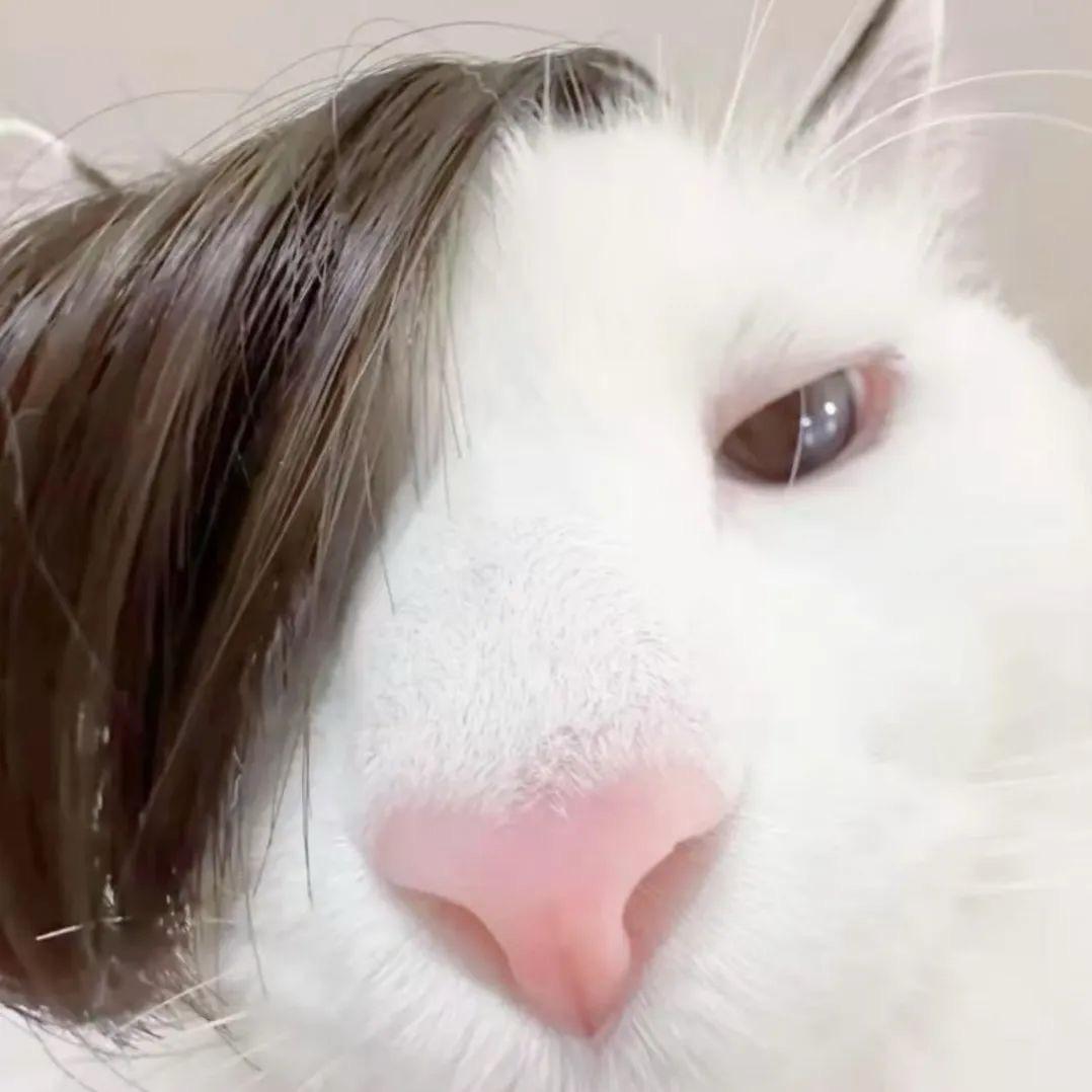 开心屁