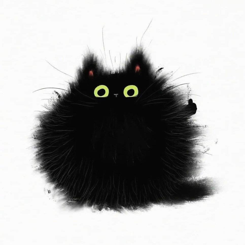 黑猫黑