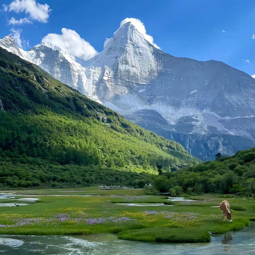 云南私人订制服务