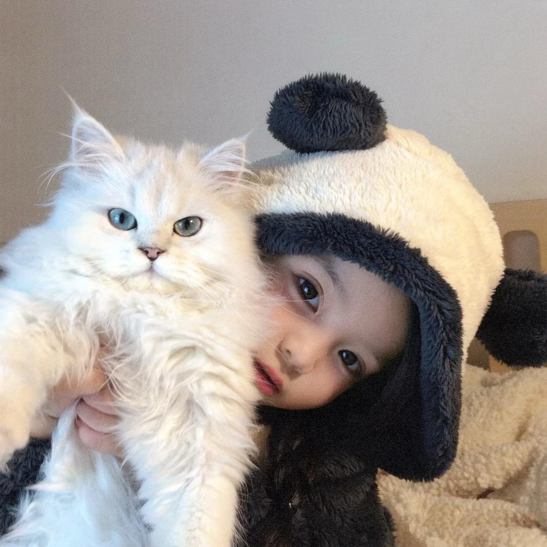 零碎小土豆🧚‍♂️