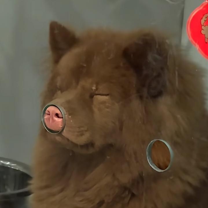 看不见我看不见我