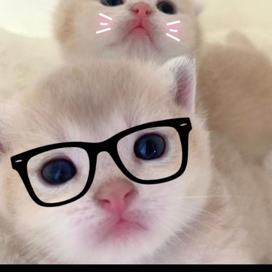 额额额额脆弱且敏感……