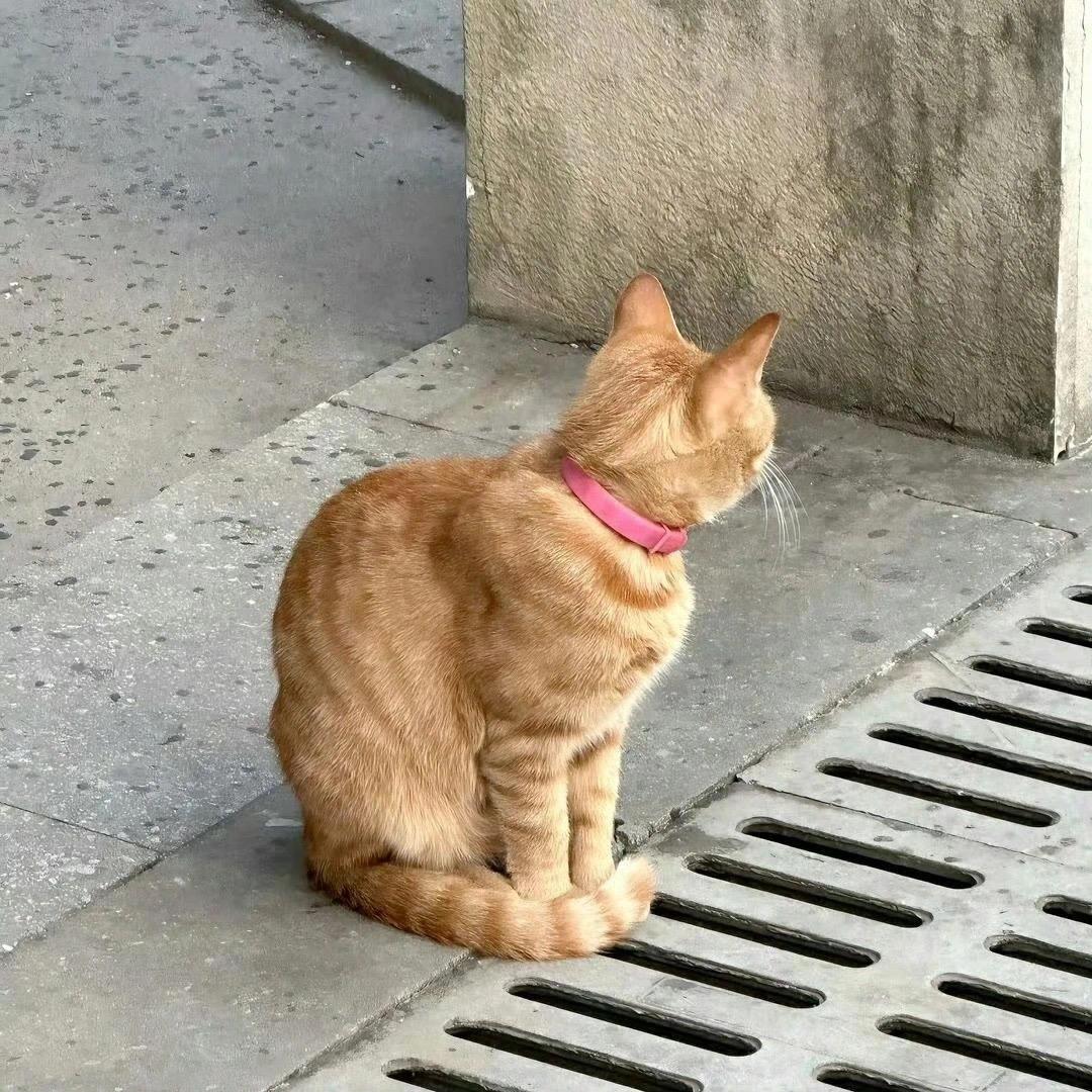 凌晨5点