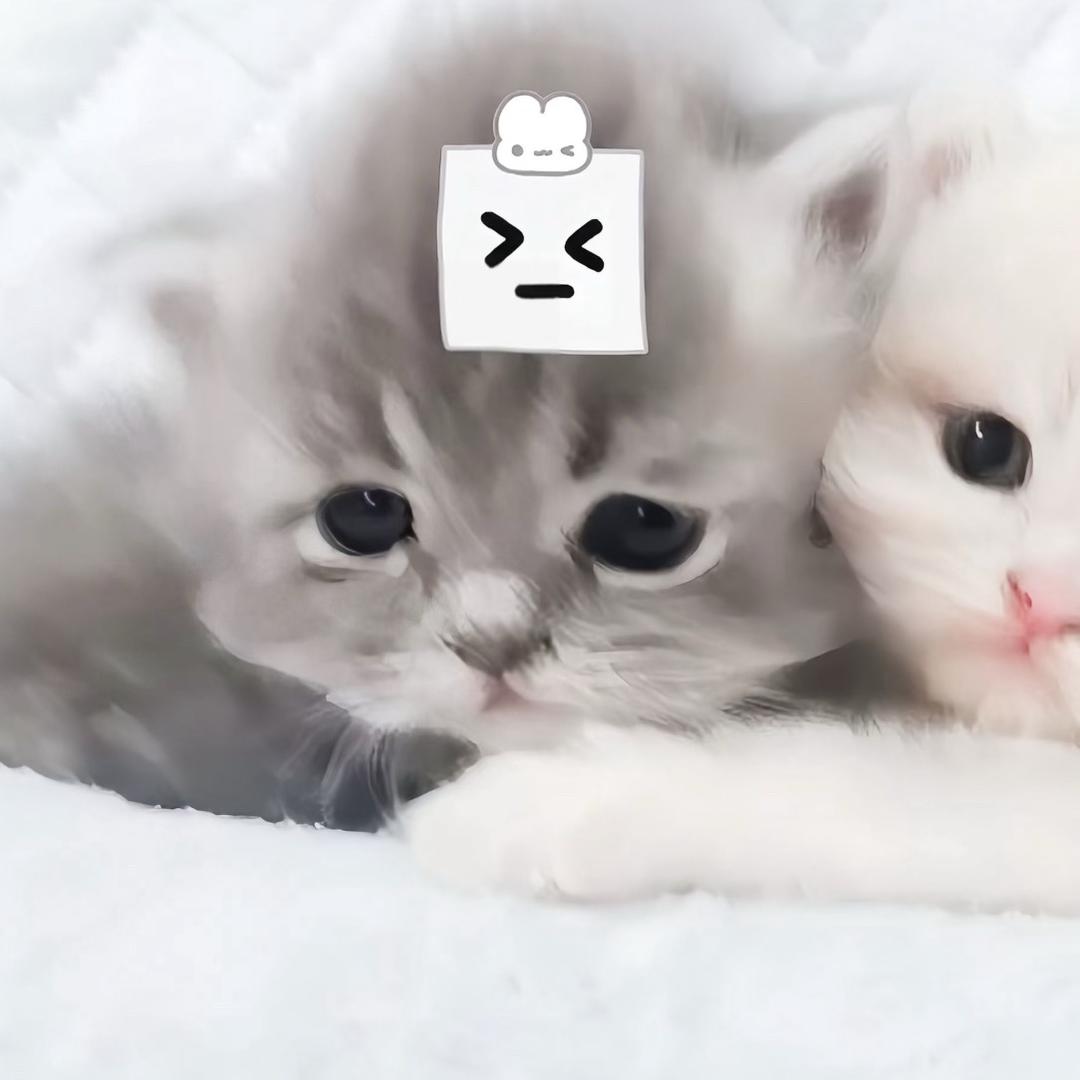 吾亖七