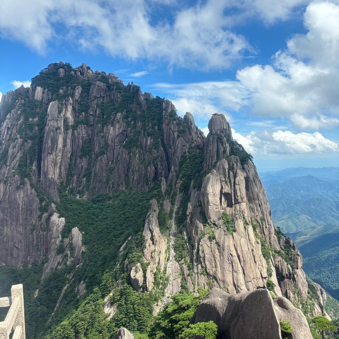 招财大水牛@抖音