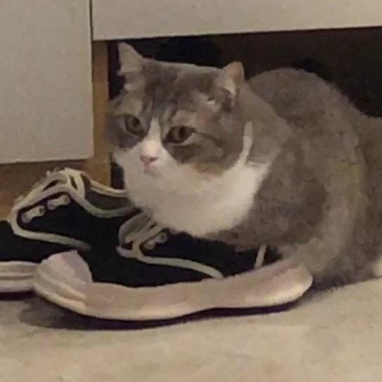 某某.