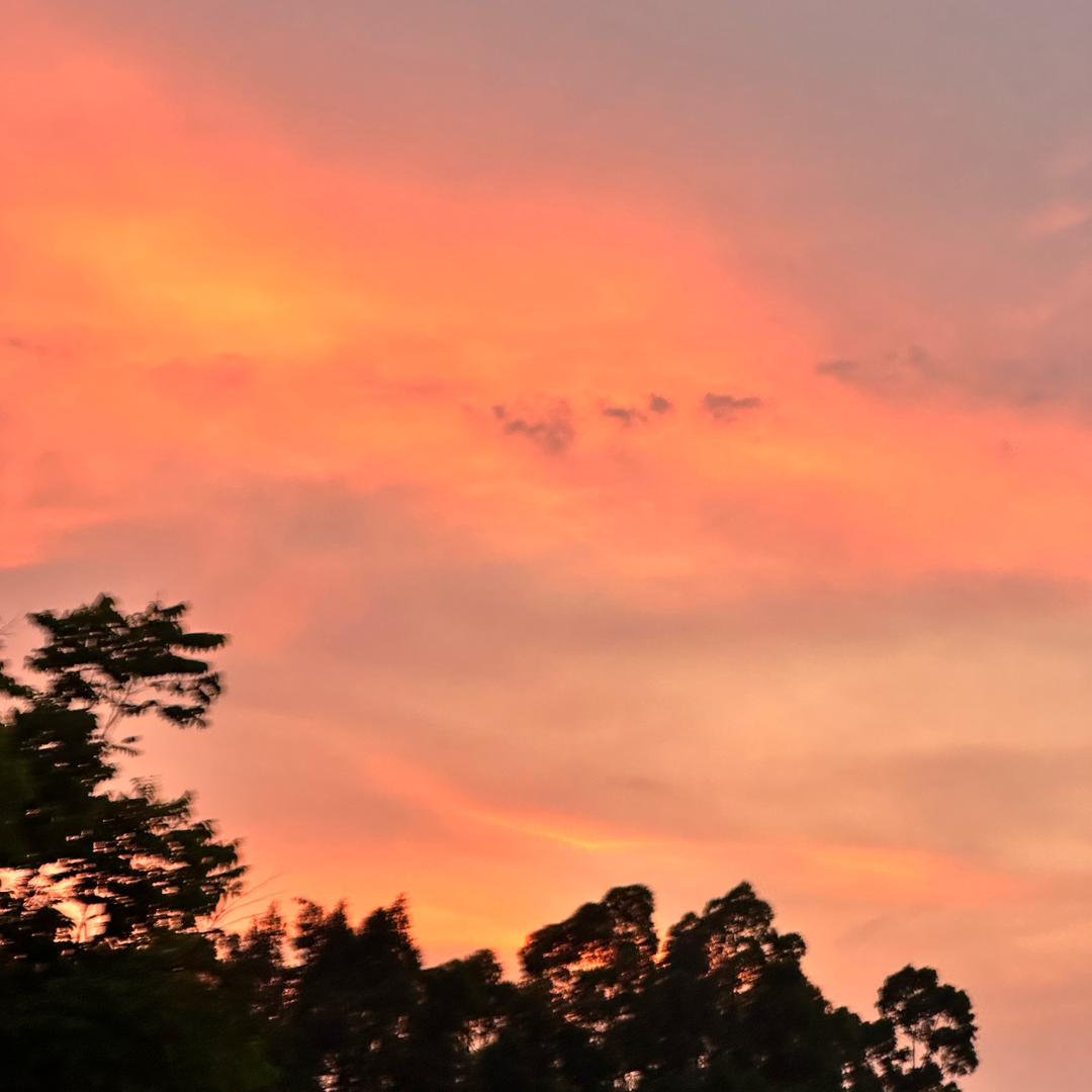 🌈🌈🌈咚巴拉咚巴拉