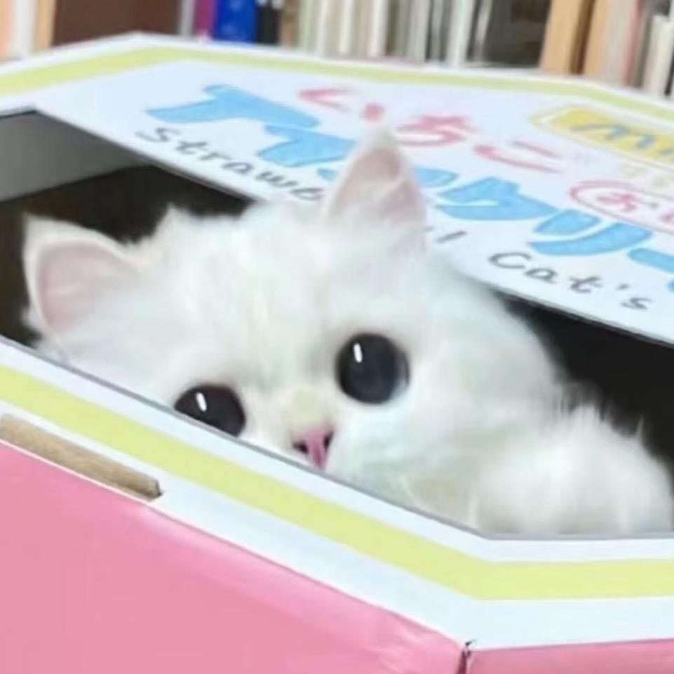 柳疏姜
