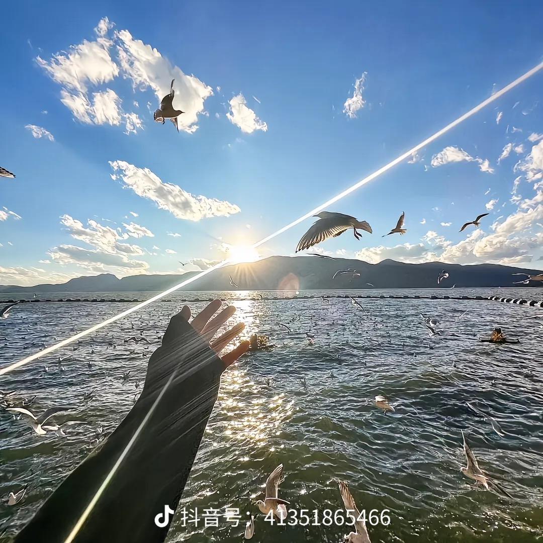 Aege 爱情海优选号