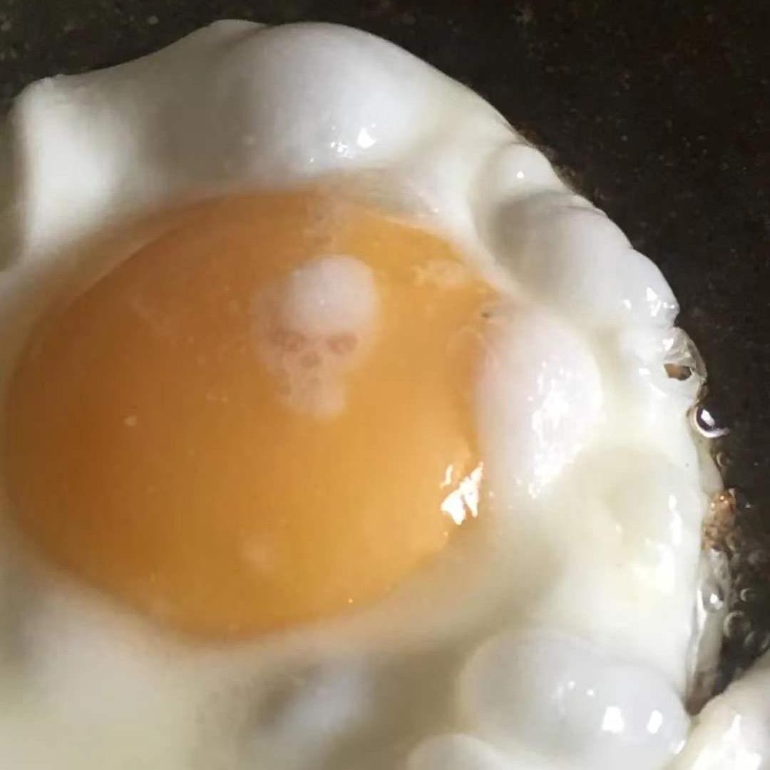 虫虫虫被吃了(佛尾握手澳门9+10+11