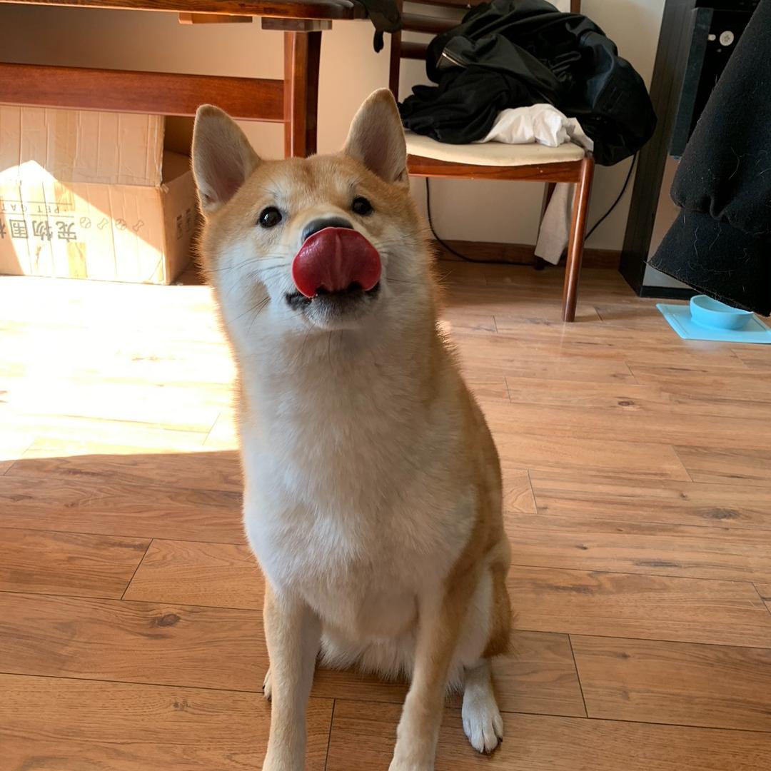 六两头像