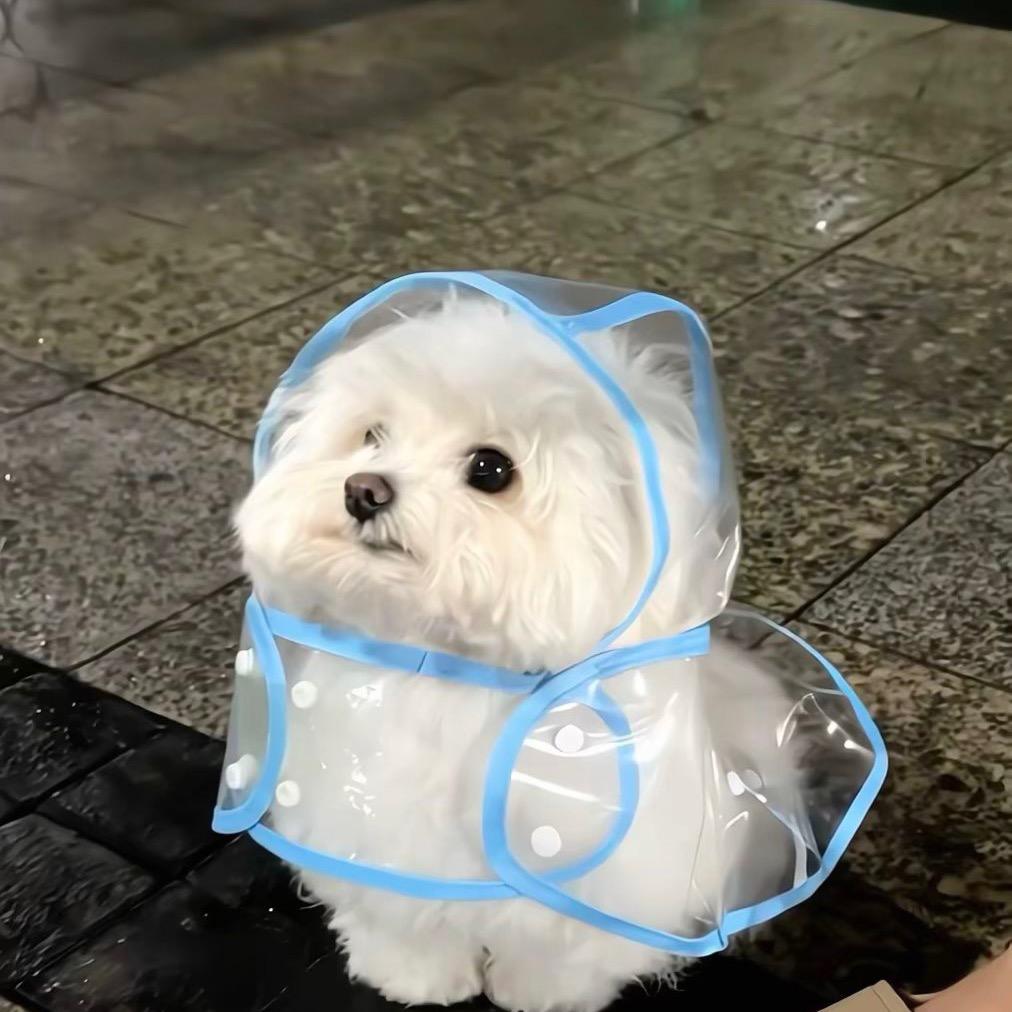 陪诊小唐