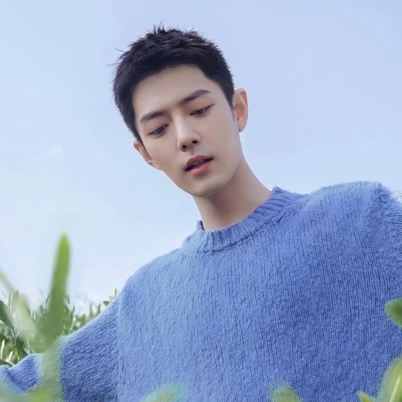 ☞森林迷了鹿.🌈