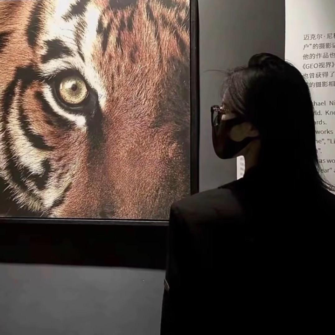 柒💕囍