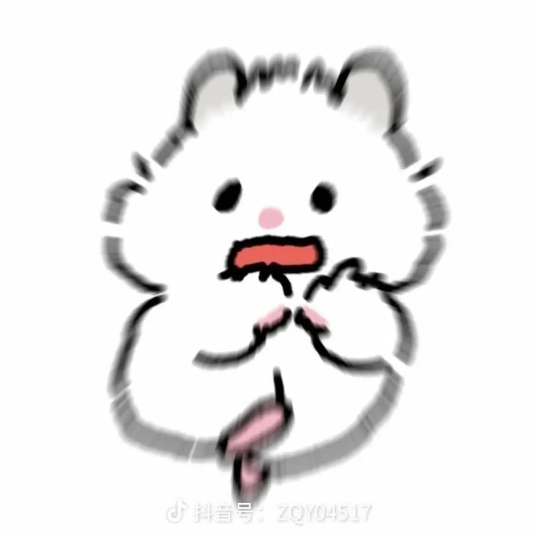 小狗呆呆🐶
