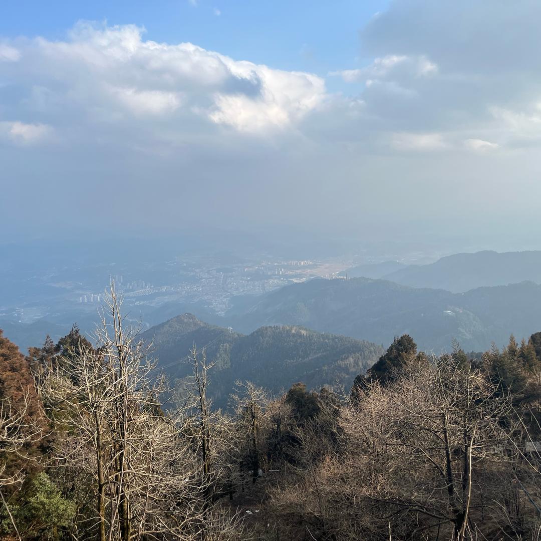 御龙九九