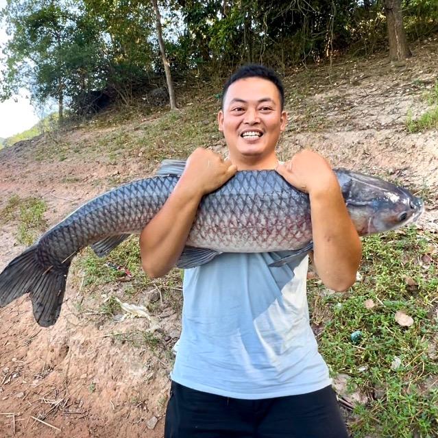 黄金丫哥