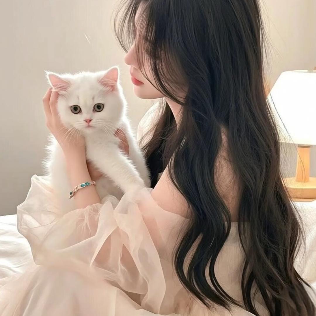 一只幸运猫🐱